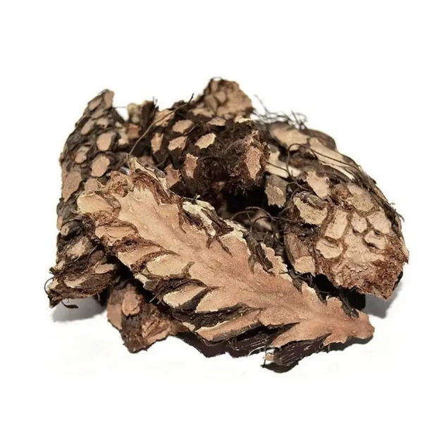 Папороть (щитовник чоловічий) корінь, 100 г - зображення 1