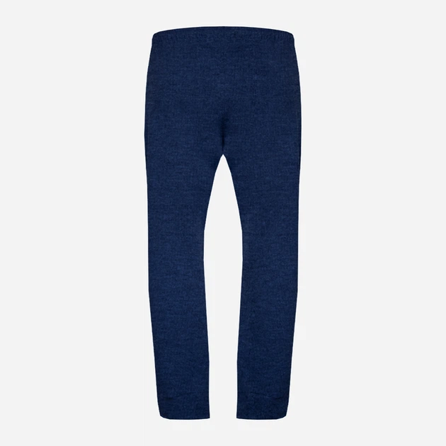 Spodnie dresowe męskie DKaren Pants Justin L Niebieskie (5903251464711) - obraz 4