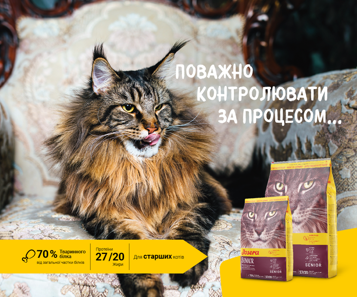 JOSERA Senior 10 кг - Корм для літніх котів - Фото 2 JOSERA Senior 10 кг - Корм для літніх котів - зображення 2
