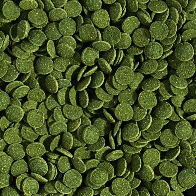 DAJANA SPIRULINA WAFERS Спец.Корм для донных травоядных рыб в таблетках/чипсах 100 мл/40 г DP060А(5352) - Фото 2 DAJANA SPIRULINA WAFERS Спец.Корм для донных травоядных рыб в таблетках/чипсах 100 мл/40 г DP060А(5352) - изображение 2