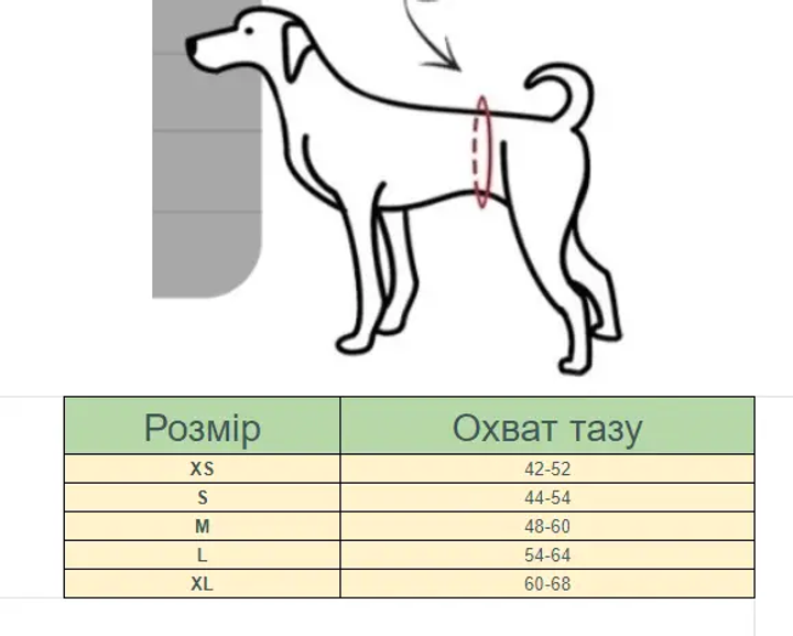 Наши контакты