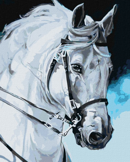 Schipper / Картина по номерам «Лошади и пони»
