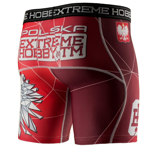 Тайтсы мужские EXTREME HOBBY MMA EXTREME HOBBY, XXL (52) (11708763) от ...