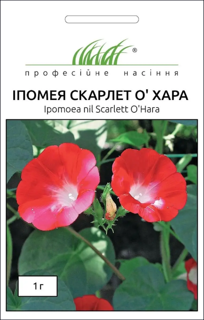 Семена Ипомея Скарлет О Хара, 1 г (Hem Zaden) - Фото 1 Семена Ипомея Скарлет О Хара, 1 г (Hem Zaden) - изображение 1