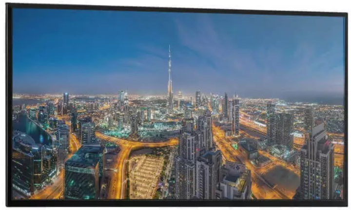 Монитор 80" Sharp PN-Q801E - изображение 1