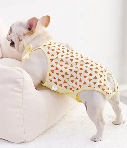 Труси-боді гігієнічні для собак жовтий з принтом кавун S від продавця ...