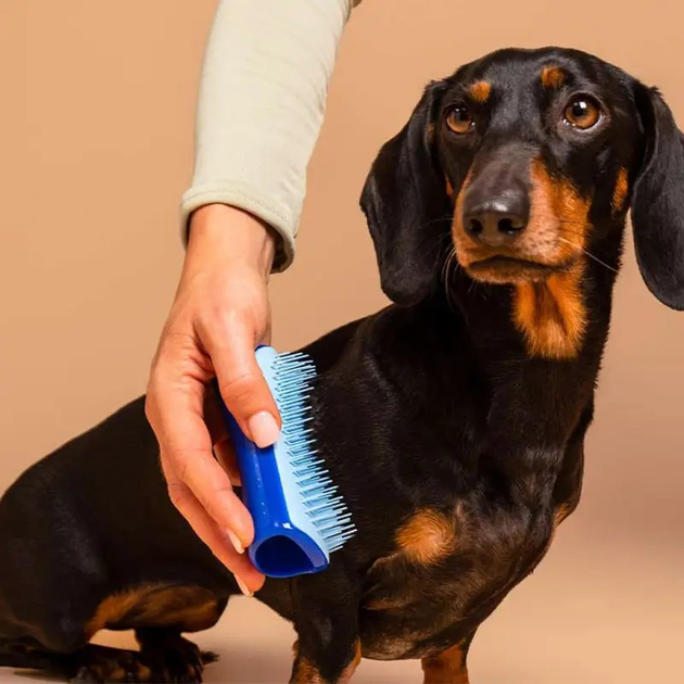 Щітка для вичісування шерсті Pet Teezer DeShedding MINI Blue для малих порід собак (5060630041694) - зображення 3
