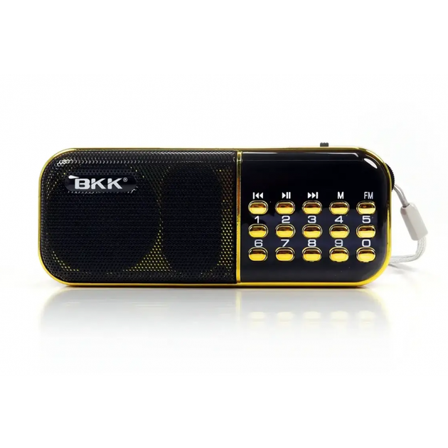 Радиоприёмник с FM USB MicroSD радио на аккумуляторе 18650 - изображение 1