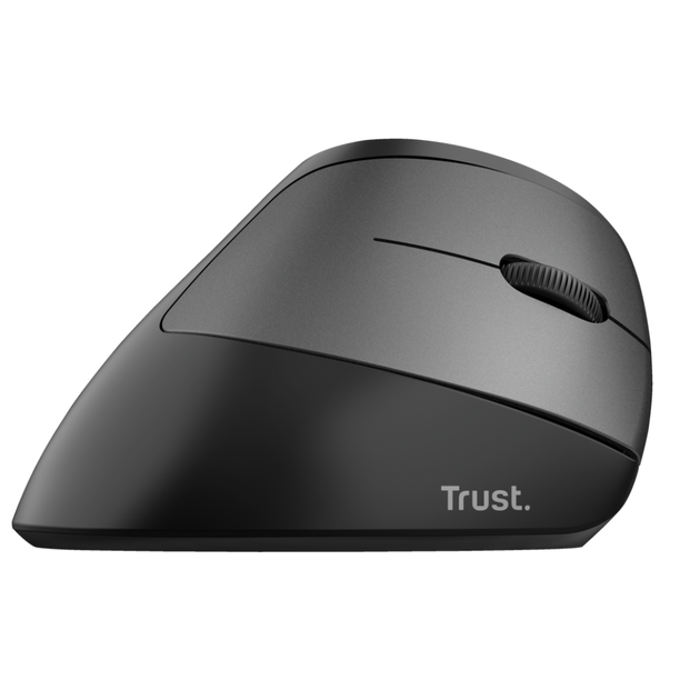 Компьютерная мышь Trust Bayo Bayo Ergo Recharge Wrls Mouse беспроводная ...