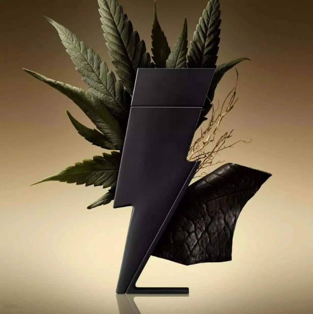 Парфумована вода для чоловіків Carolina Herrera Bad Boy Le Parfum