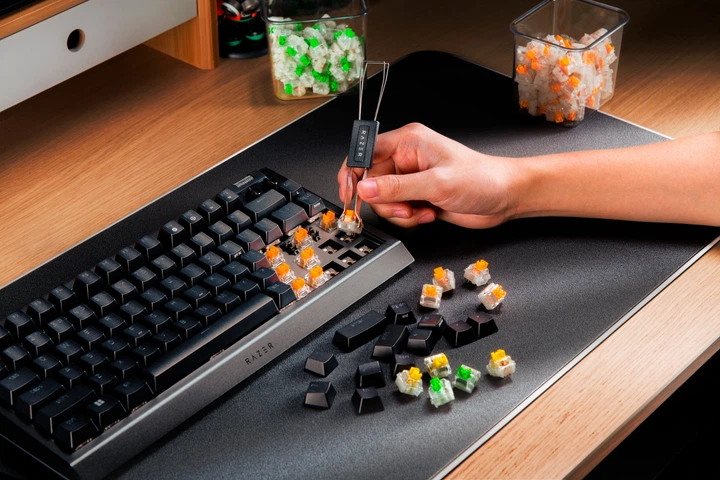 Клавіатура дротова Razer BlackWidow V4 75% Black (RZ03-05000100-R3M1) - зображення 11