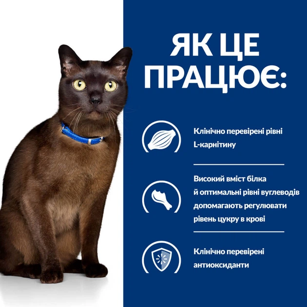 Сухой корм для кошек при сахарном диабете Hill’s Prescription Diet m/d с курицей, 3 кг - Фото 4 Сухой корм для кошек при сахарном диабете Hill’s Prescription Diet m/d с курицей, 3 кг - изображение 4