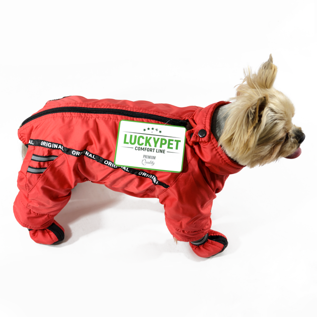 Lucky Pet Комбинезон Фокс для породы Мопс красный M2 №1, 28 х 60 см - Фото 5 Lucky Pet Комбинезон Фокс для породы Мопс красный M2 №1, 28 х 60 см - изображение 5