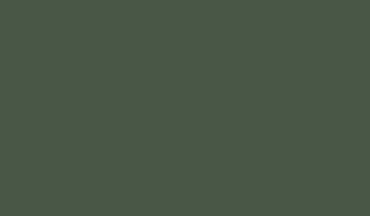 FOSCO - Краска маскировочная RAL 6031 - Forest Green - изображение 2