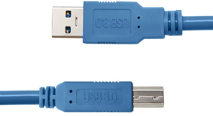 Kabel Qoltec do drukarki USB Type A męski - USB Type A męski 1 m (5901878523088) - obraz 2