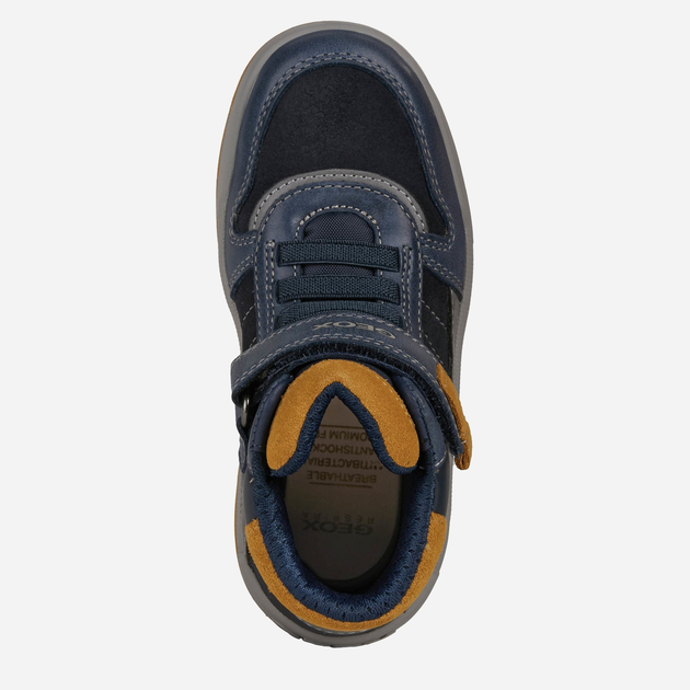 Черевики дитячі Geox Sneakers J16ESB022BC-C4229 26 Сині (8050036272911) - зображення 3
