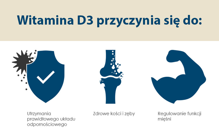 Suplement diety Pharma Nord Bio-Witamina D3 D-pearls 38 mcg 80 kapsułek (5709976138209) - obraz 3