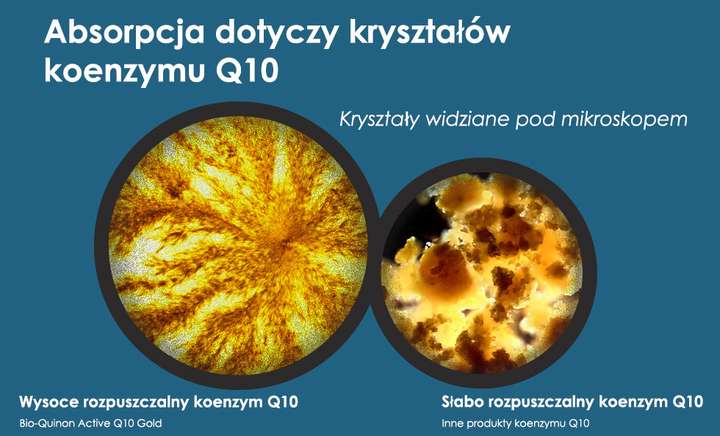 Suplement diety Pharma Nord Active Complex Q10 Gold 100mg 30 kapsułek (5709976181106) - obraz 3