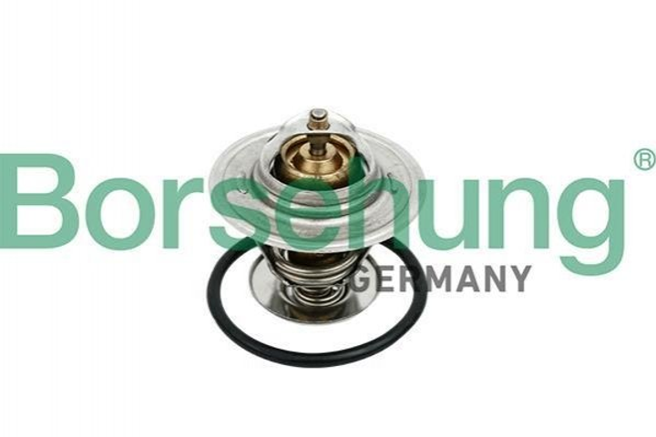 Термостат Borsehung B18259 Skoda Fabia, Octavia, Superb; Volkswagen Caddy, Golf, Jetta, Passat, Touran, Polo, EOS; Audi A3; Seat Toledo, Леон, Ibiza, Cordoba 03G121113A - зображення 1