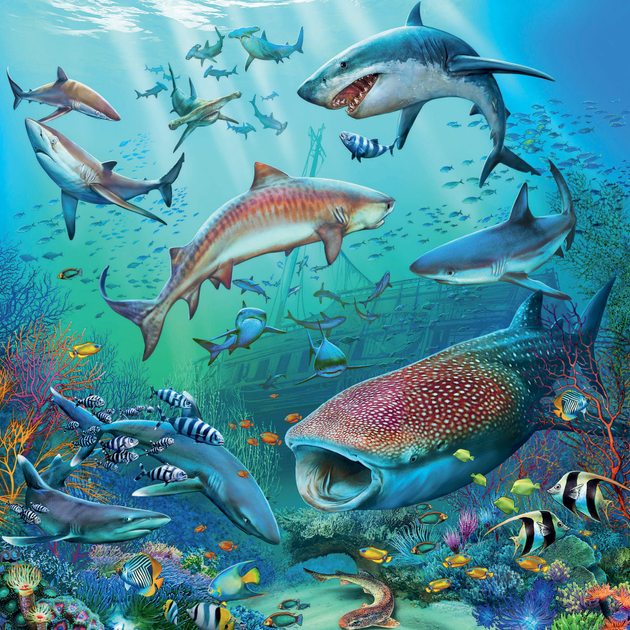 Набір пазлів Ravensburger Світ океанських тварин 27 х 19 см 3 х 49 елементів (4005556051496) - зображення 2
