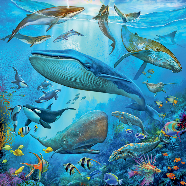 Zestaw puzzli Ravensburger Świat zwierząt oceanu 27 x 19 cm 3 x 49 elementów (4005556051496) - obraz 3
