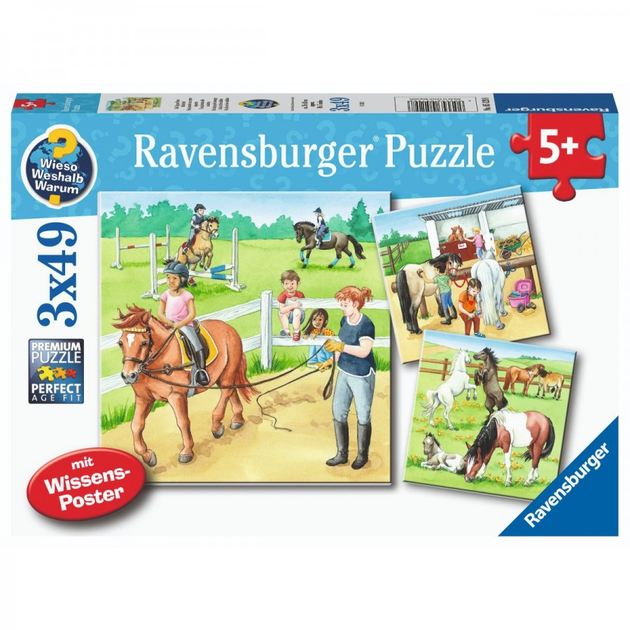 Класичний пазл Ravensburger День на кінній фермі 21 x 21 см 3 x 49 елемента (4005556051298) - зображення 1