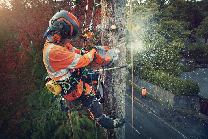 Husqvarna T540iXP 9705723 14 ROZETKA