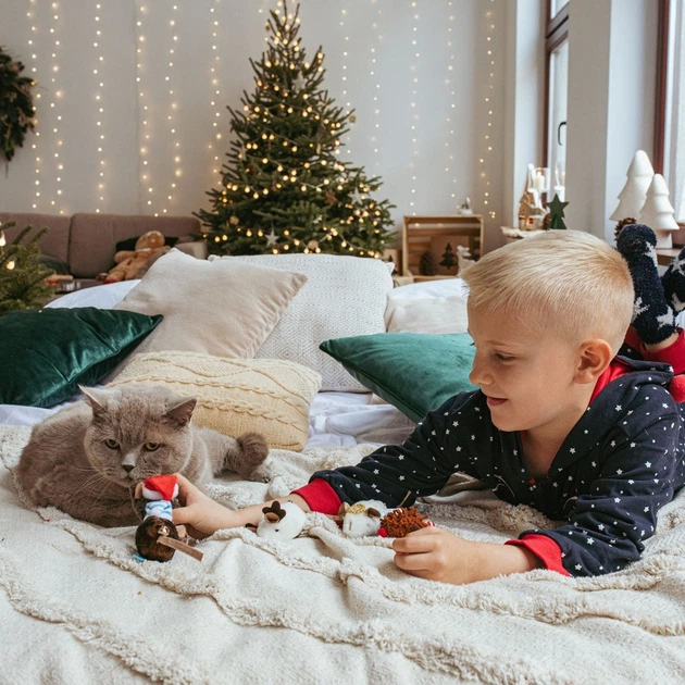 Іграшка для котів Dingo Santa з котячою м'ятою 9 см (5904760213388) - зображення 3