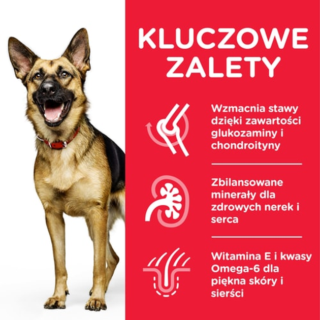 Sucha karma dla starszych psów dużych ras Hill's Science Plan z kurczakiem 18 kg (0052742183008) - obraz 3