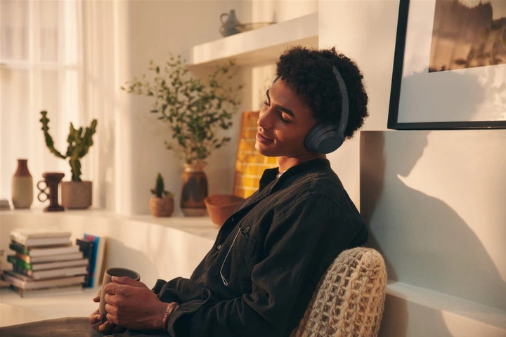 Наушники Sony WH-CH720N Blue (WHCH720NL.CE7) купить в интернет