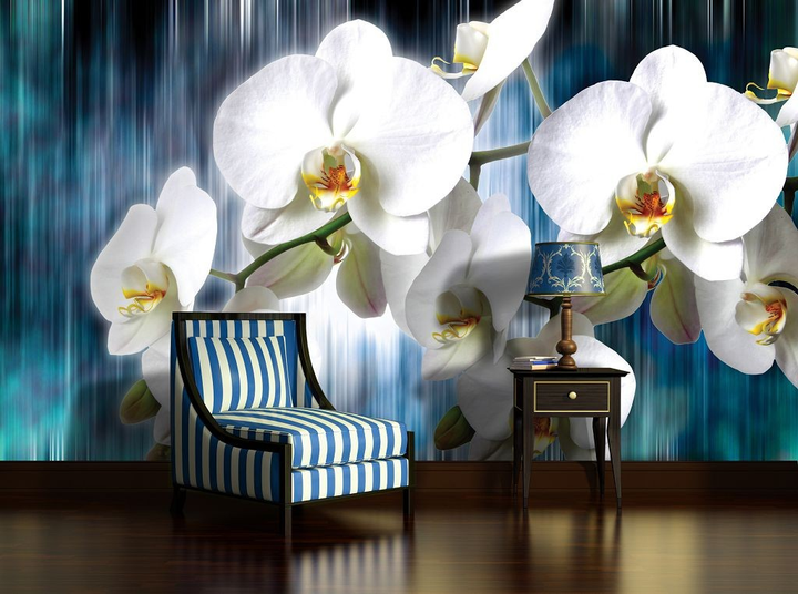 Обои с орхидеями для стен (87 фото)