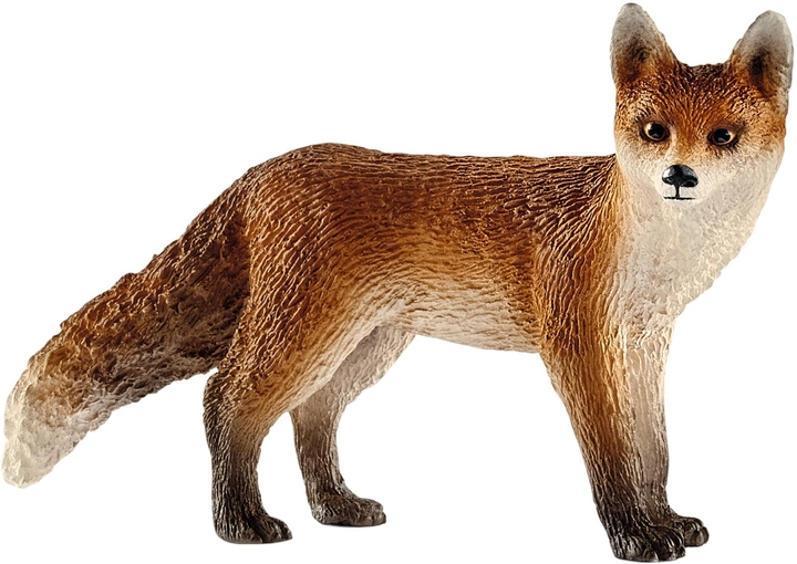 Іграшка-фігурка Schleich Wild Life Лисиця (4059433011516) - зображення 1