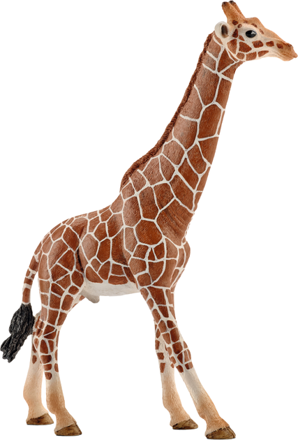Figurka Schleich Wild Life Żyrafa (4005086147492) - obraz 1
