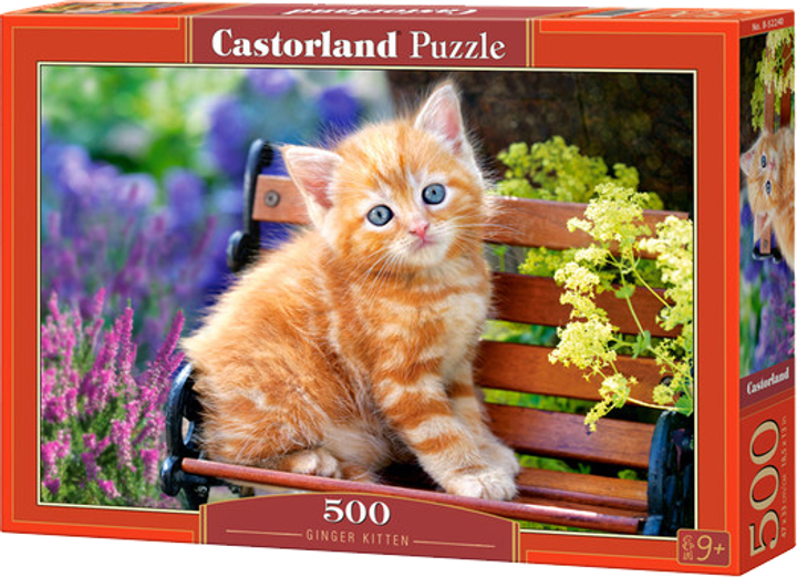 Puzzle Castorland Kitten 500 elementów (PC-52240) - obraz 1