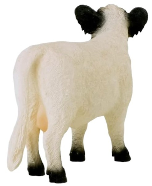 Figurka Schleich Farm World Galloway Cow 9 cm (4059433578255) - obraz 3