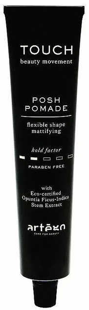 Помада для волос с легкой фиксацией и матовым финишем - Artego Touch Posh Pomade 100ml (1070158-153728) - изображение 1