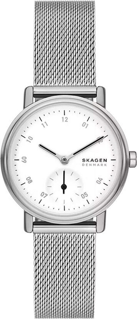 Женские часы SKAGEN SKW3100 – фото, отзывы, характеристики в интернет ...