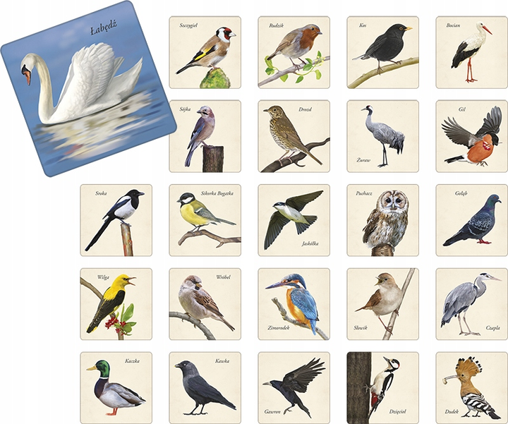 Настільна гра Adamigo на запам'товування "Птахи" (5902410007271) - зображення 2