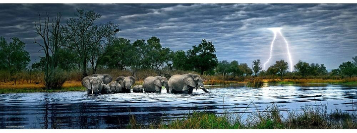 Пазл Heye Олександр фон Гумбольдт Стадо слонів 2000 елементів (4001689295080) - зображення 2