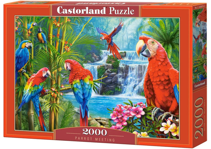 Puzzle Castor Papugi spotkanie 2000 elementów (5904438200870) - obraz 1