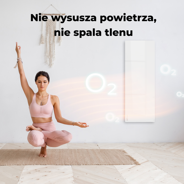 Grzejnik konwektorowy AENO Premium Eco Smart GH3S (AGH0003S) - obraz 8