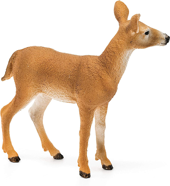 Фігурка Schleich Wildlife White Tailed Doe 8.5 см (4055744029615) - зображення 5