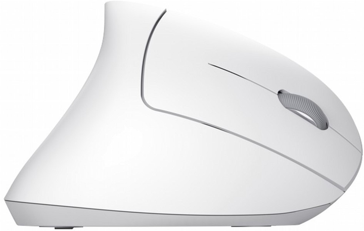 Mysz Trust Verto Ergonomic Wireless Biała (8713439251326) - obraz 5