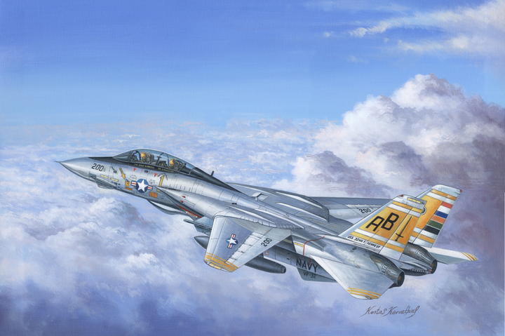 Model do składania Hobby Boss F-14A Tomcat skala 1:48 (6939319203663) - obraz 2