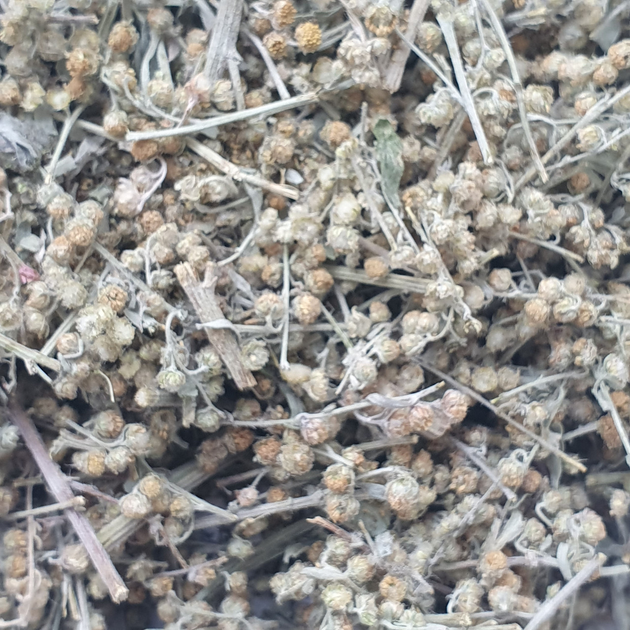 Полин гіркий трава сушеная 100 г - зображення 1