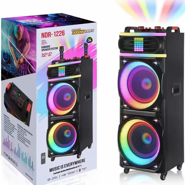 Портативная Bluetooth колонка NDR 1226 12' 300W с пультом - изображение 2