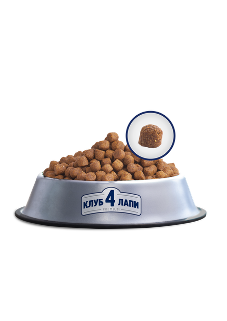 Сухой корм CLUB 4 PAWS PREMIUM Клуб 4 лапы для взрослых собак всех пород АКТИВ, 14 кг - Фото 2 Сухой корм CLUB 4 PAWS PREMIUM Клуб 4 лапы для взрослых собак всех пород АКТИВ, 14 кг - изображение 2