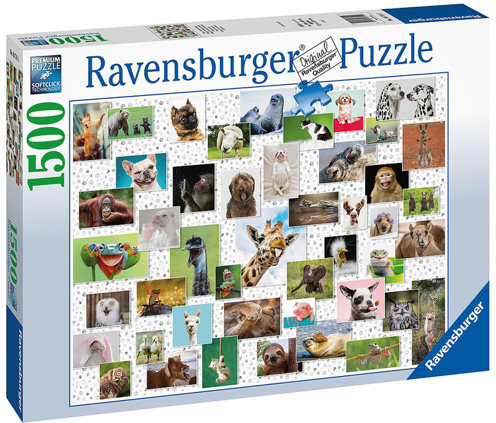 Puzzle Ravensburger Funny Animals 80 x 60 cm 1500 elementow (4005556167111) - obraz 1