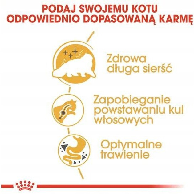 Сухий корм Royal Canin Persian Adult для дорослих котів персидської породи 2 кг (3182550702614) - зображення 6