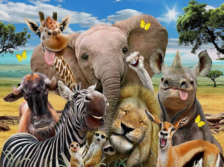 Zestaw do haftu diamentowego Norimpex Uśmiechnięte zwierzęta safari 40 x 30 cm (5902444077714) - obraz 1